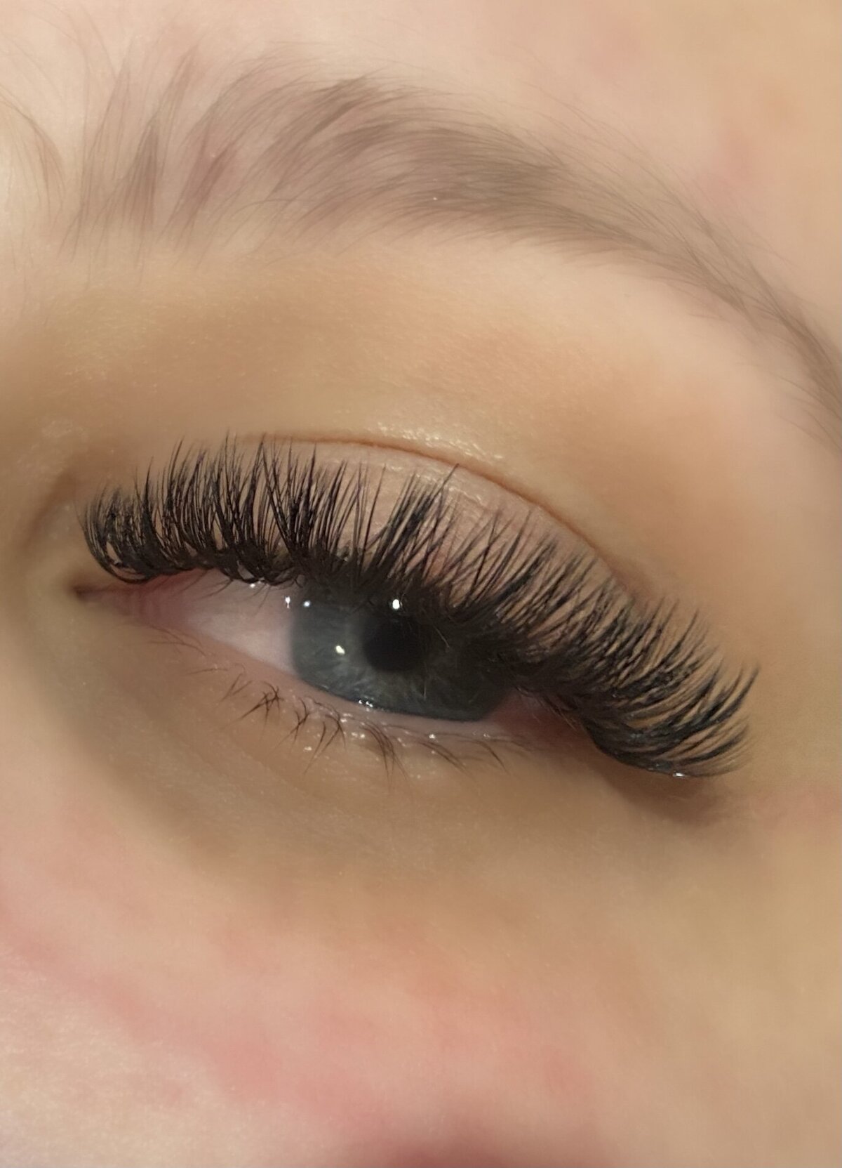 lash1