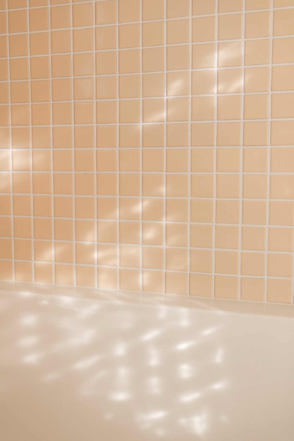 KOCINSKI-MCM-GUEST-BATH-RENO-DIGITAL--42