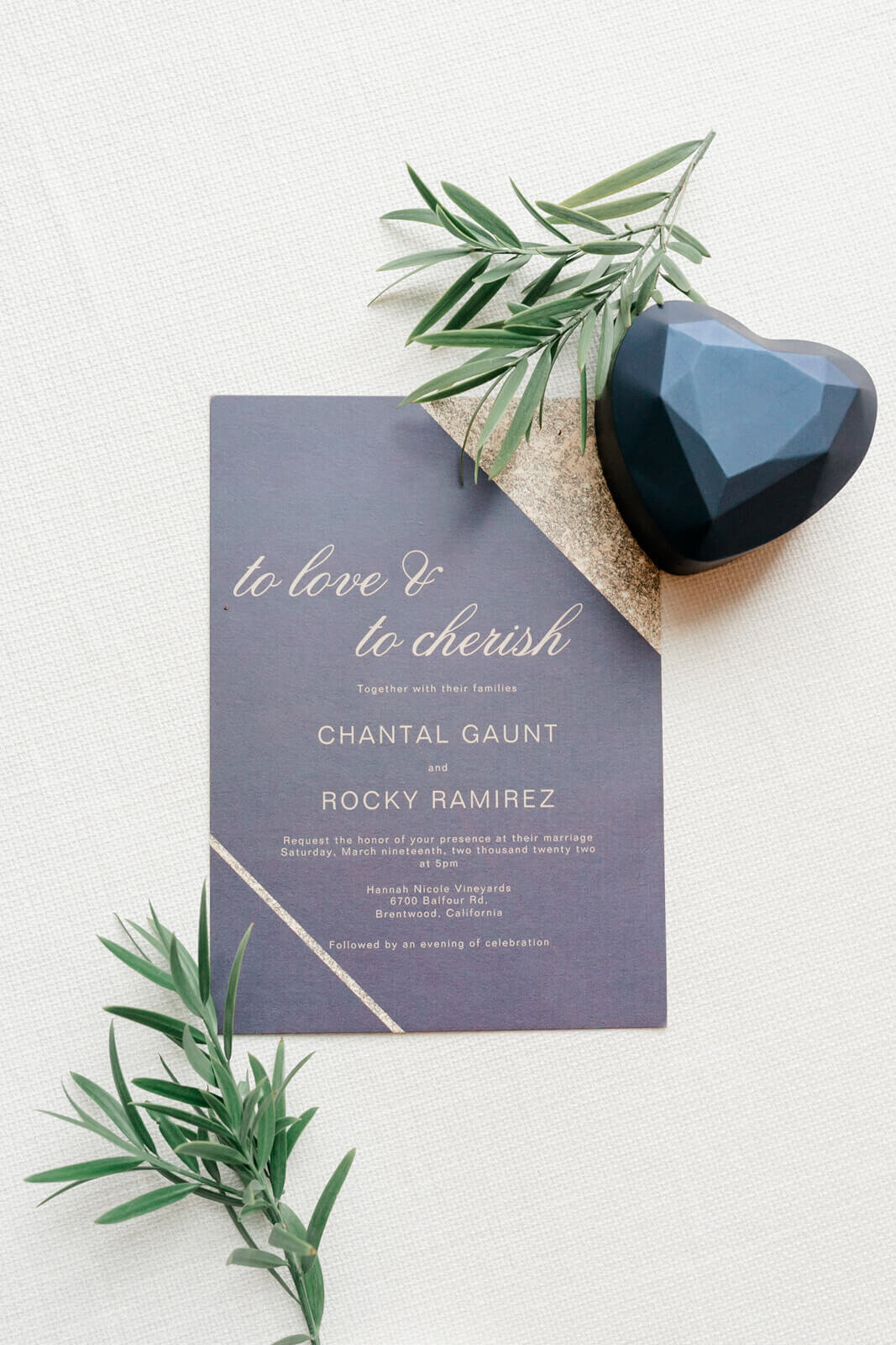 Wedding portraits captured by Vanessa Montano Photography – Livermore vineyard at sunset.