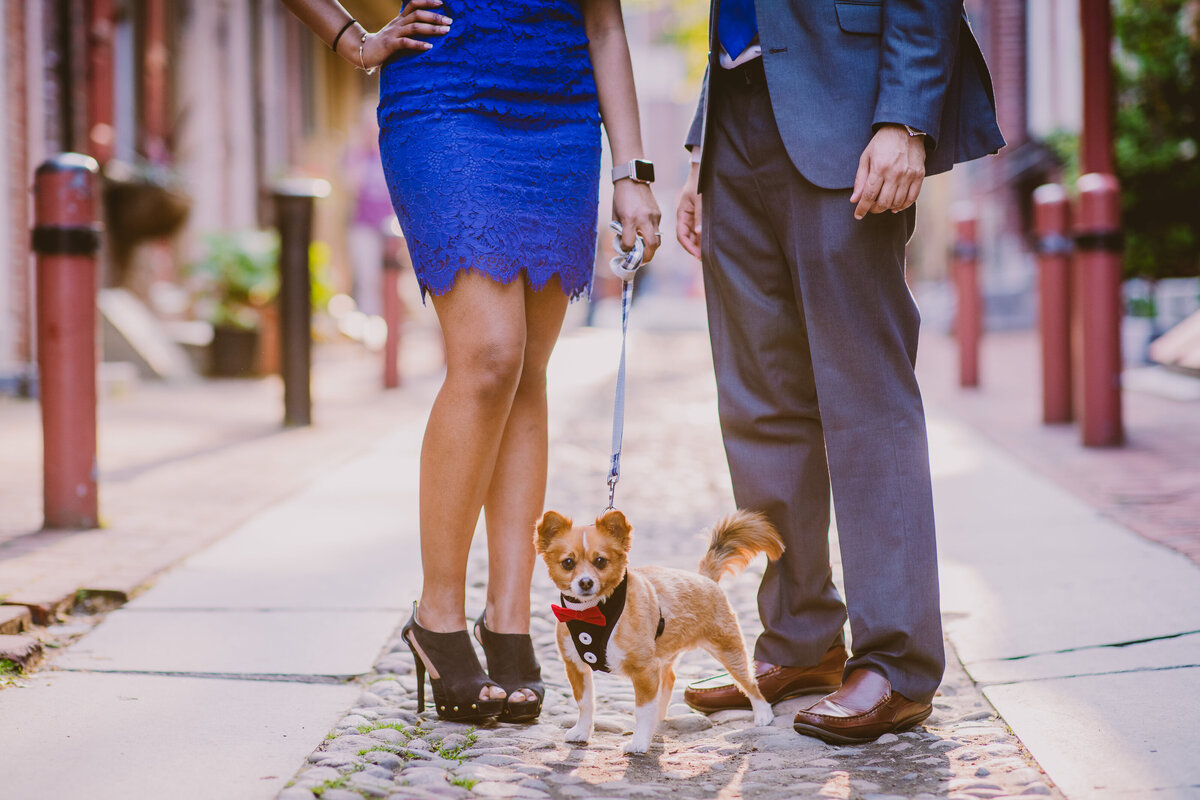 A dressed up dog in doggy clothing and tie standing in between an engagement couple in elfreths alley in old city philadelphia