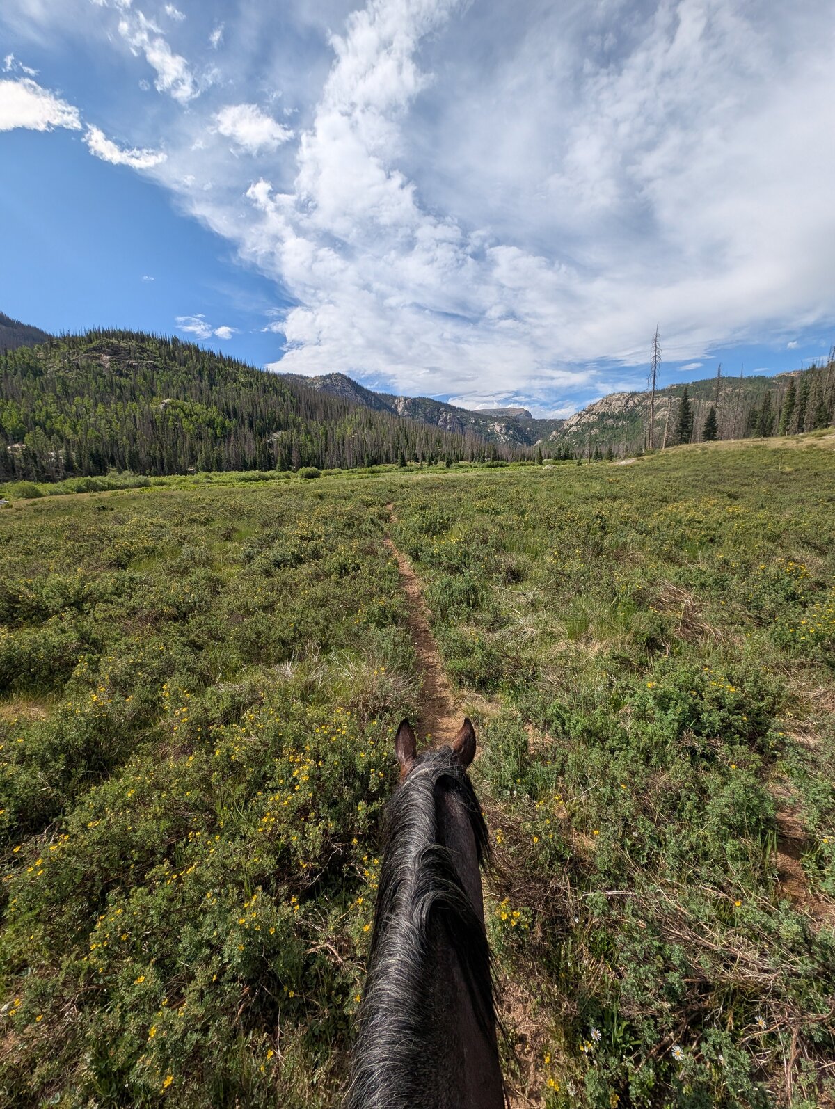 PXL_20250707_225409071.RAW-01.MP.COVER