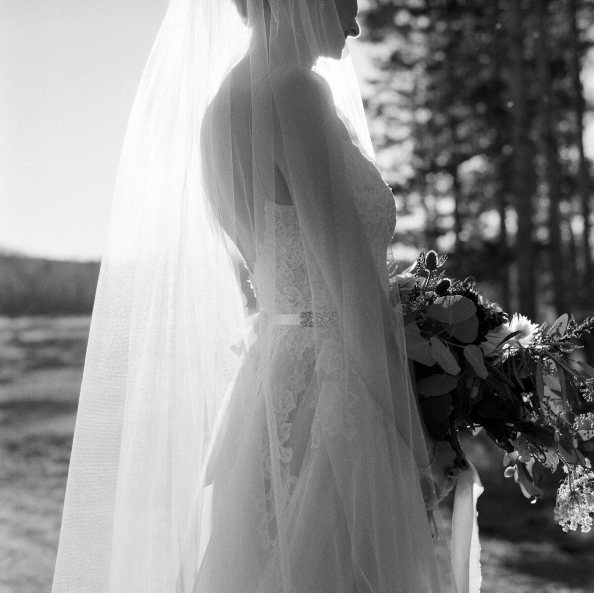 Devils Thumb Bride