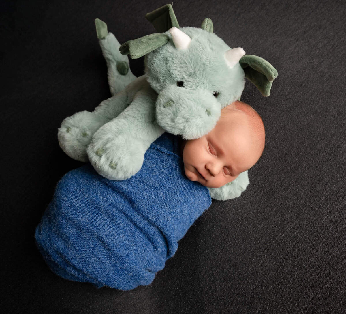 studio-newborn-photography-with-stuffed-dragon-alabaster-photos