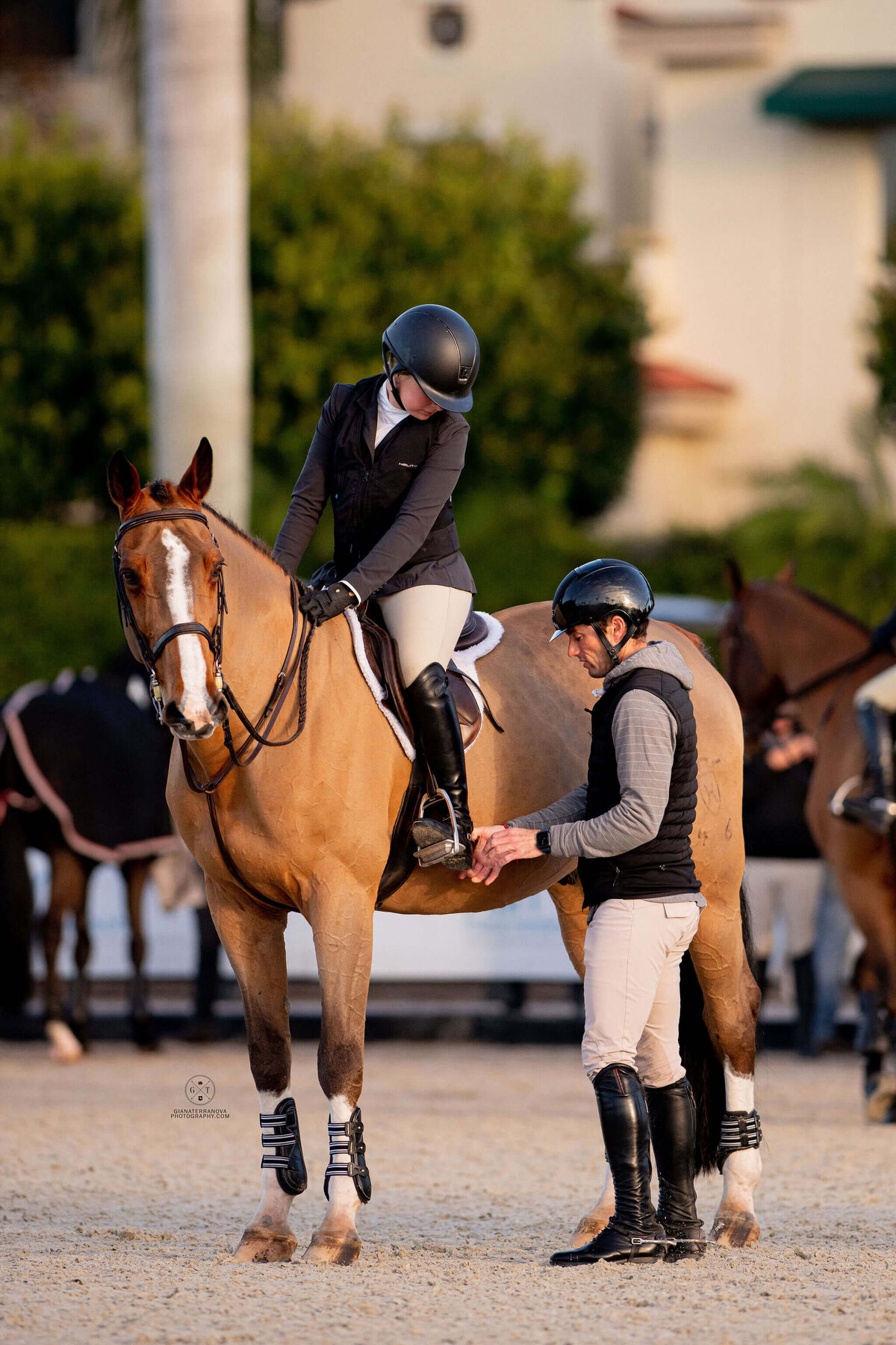 HATHERLY SHOWJUMPING TEAM WELLINGTON, FL (2)
