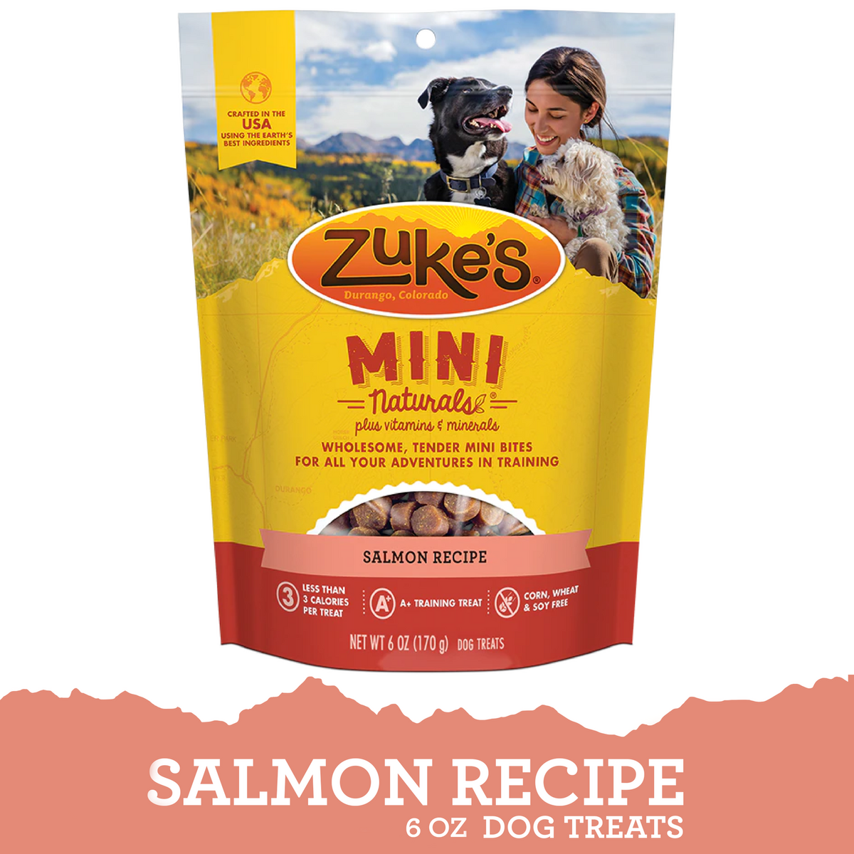 MRHI-02-SalmonRecipe