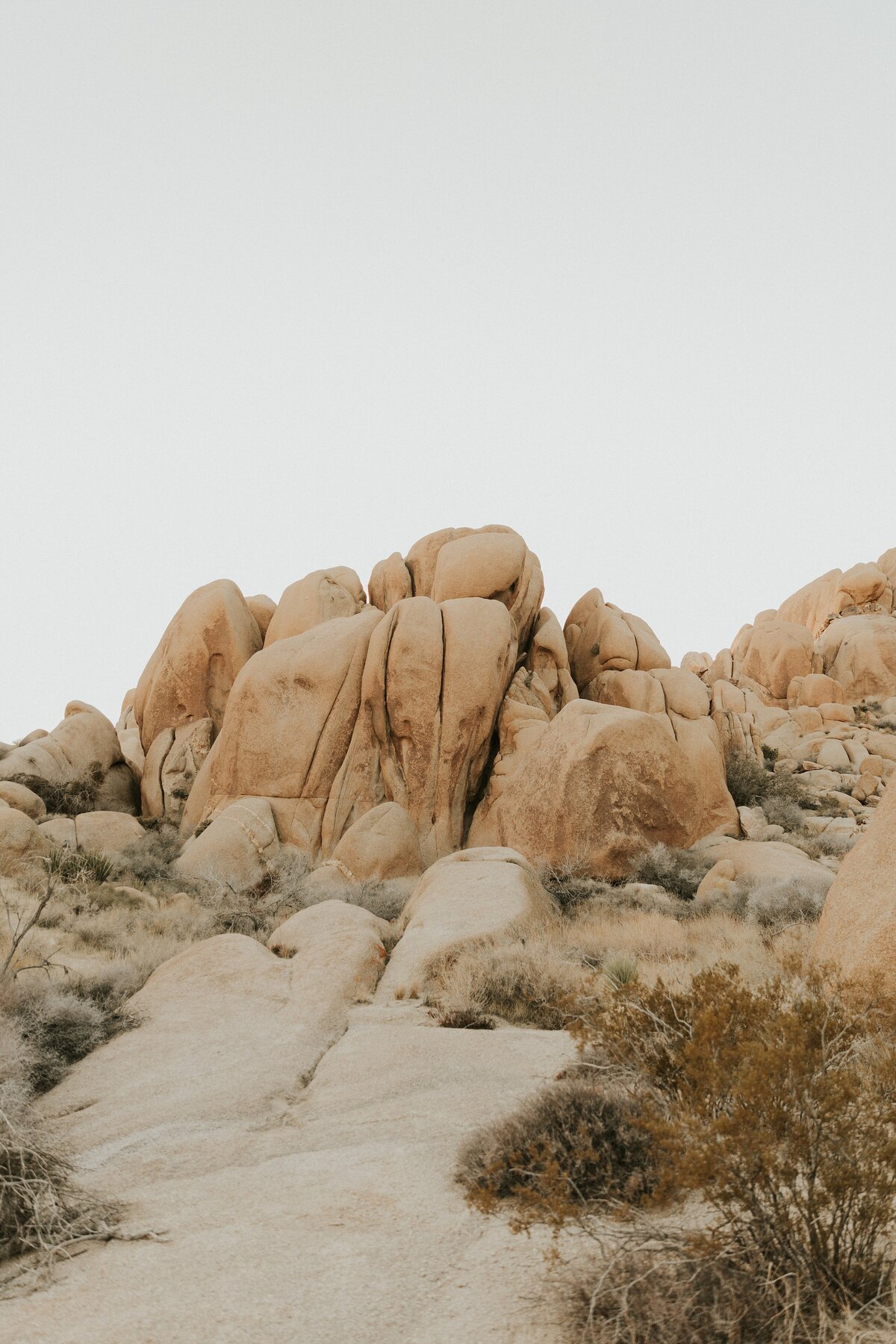 Joshua-Tree-Elopement-12