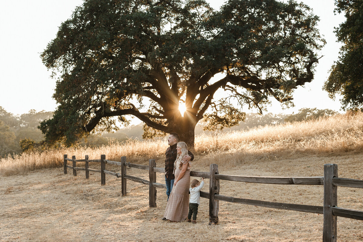 A family photoshoot in glen ellen california