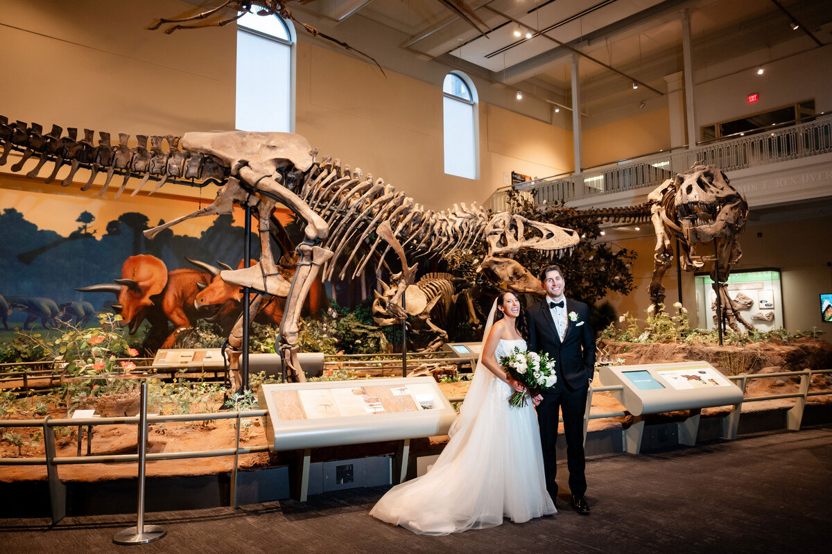dinosaur picture carnegie museum