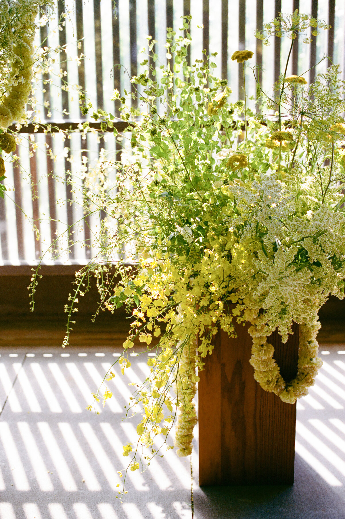 furioso-vineyard-wedding-f-87