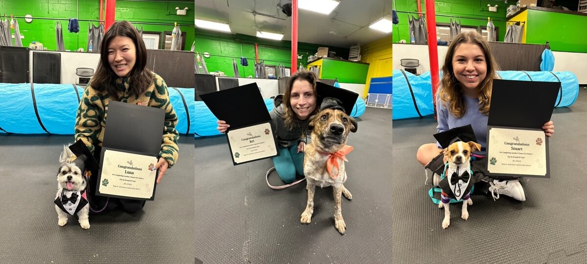 Tricks training graduates