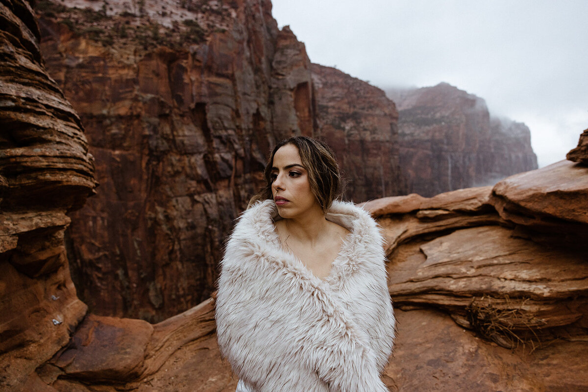 ZionSnowCanyon-dallinhassard-1530