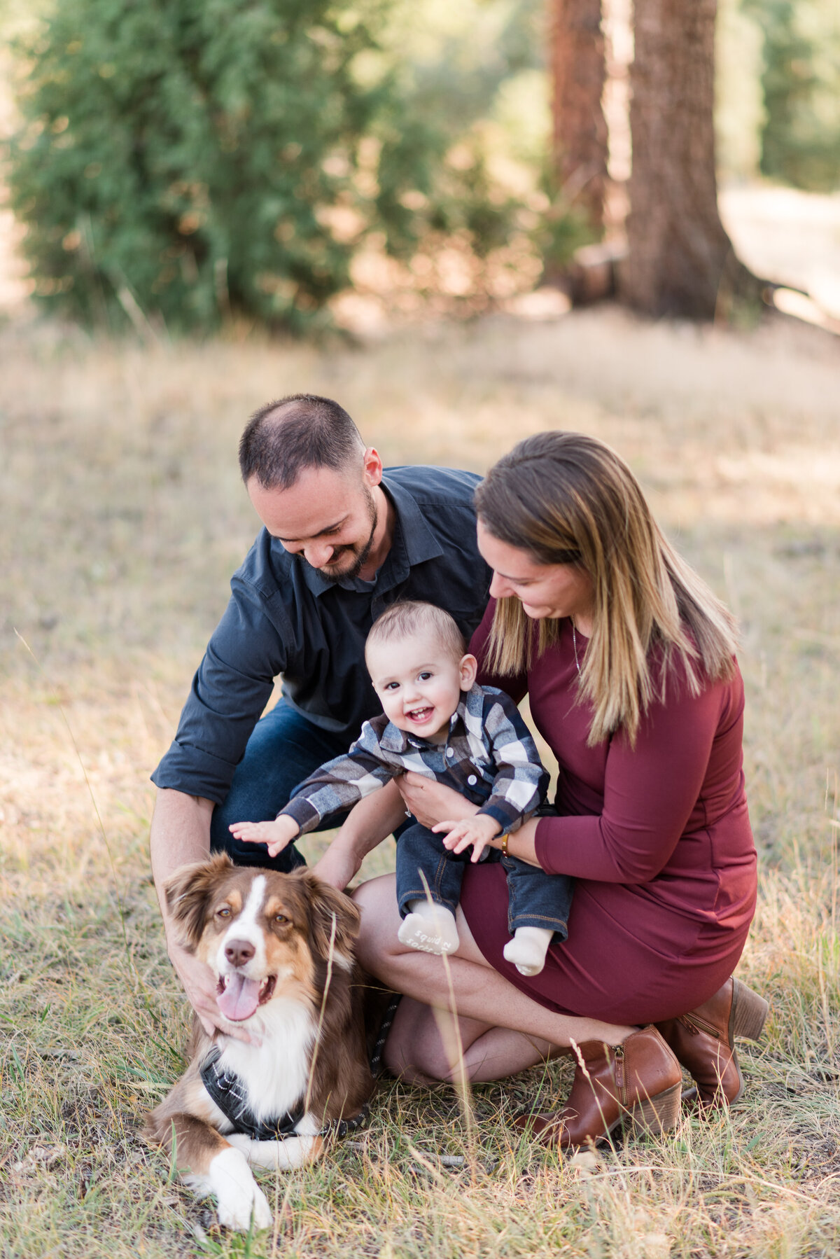 family photos with a dog and a baby with parents playing withe their baby and dog for their denver family photos