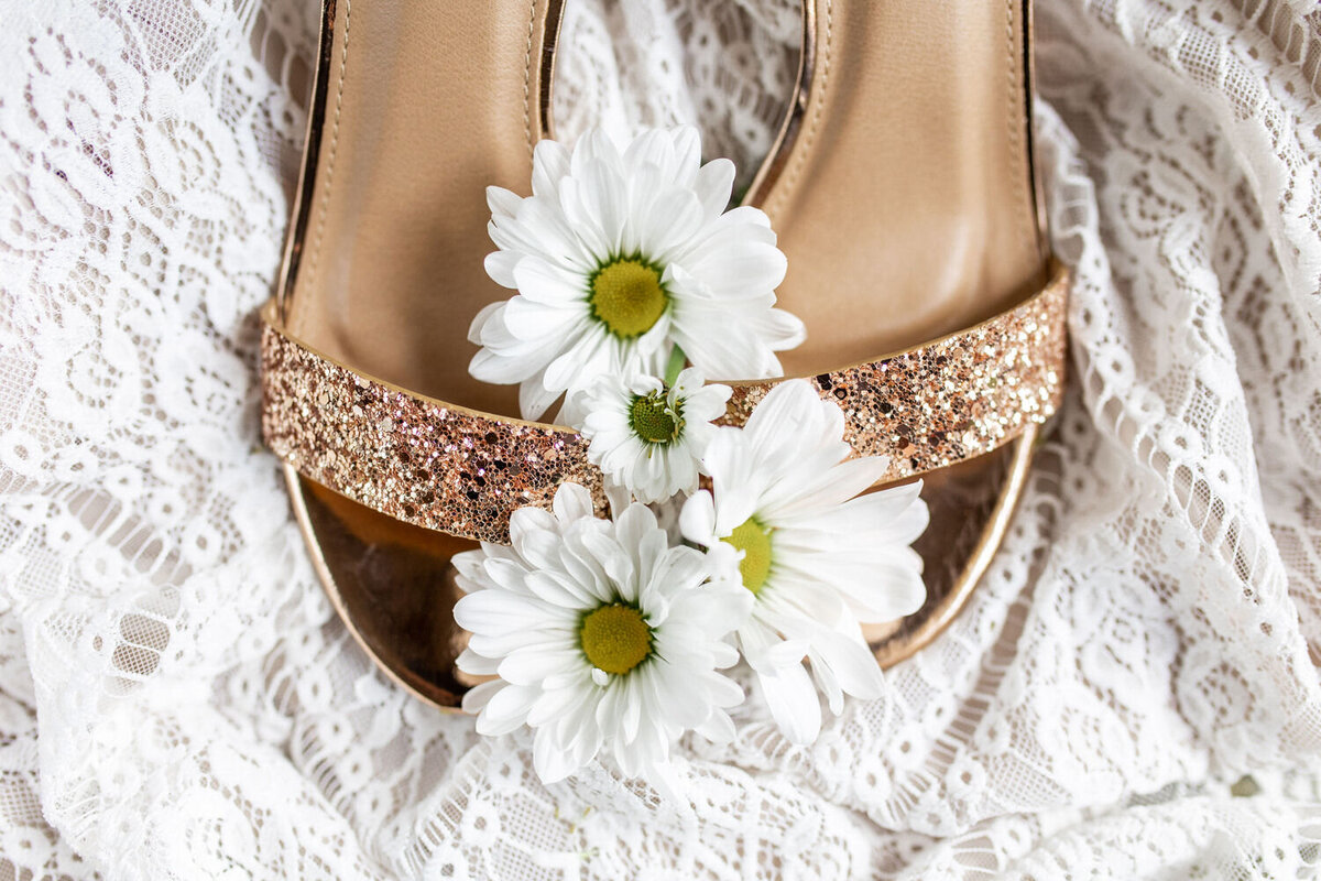 Wedding-Shoe-Photo
