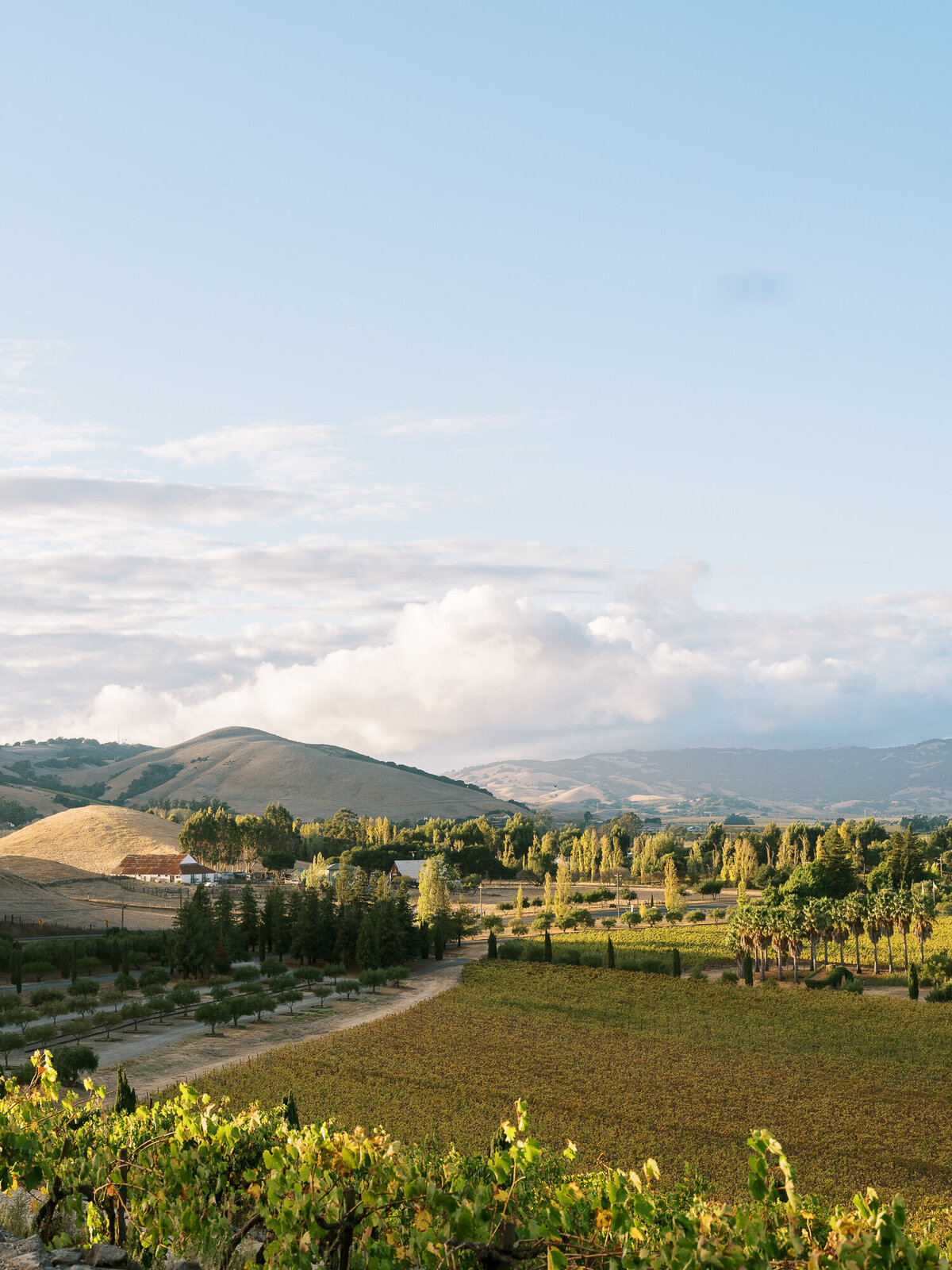 Crisp autumn skies at Viansa Winery in Sonoma