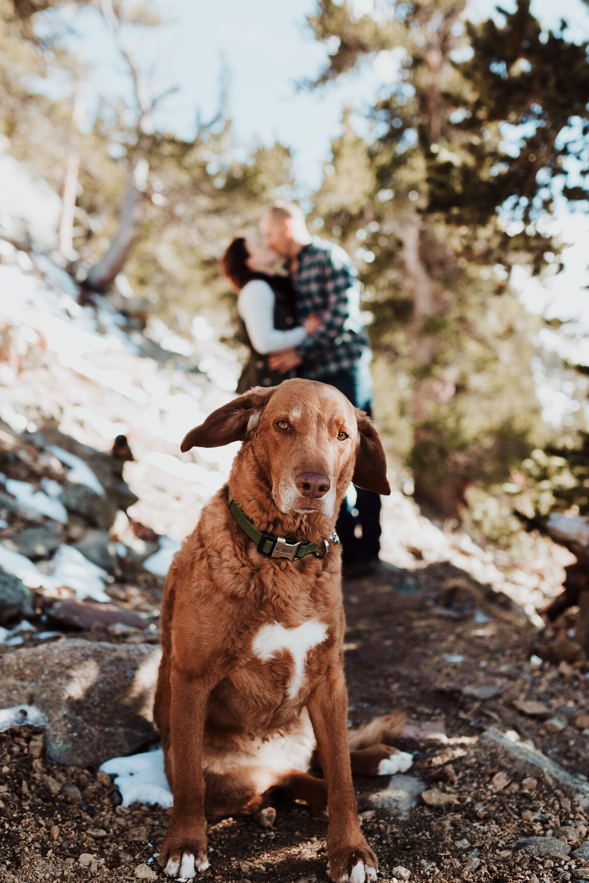 Engagement Session- Kaylen & Jeff- Echo Lake Colorado-76