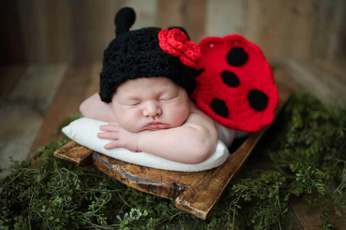 Sleeping baby girl on her belly dressed up as a lady bug