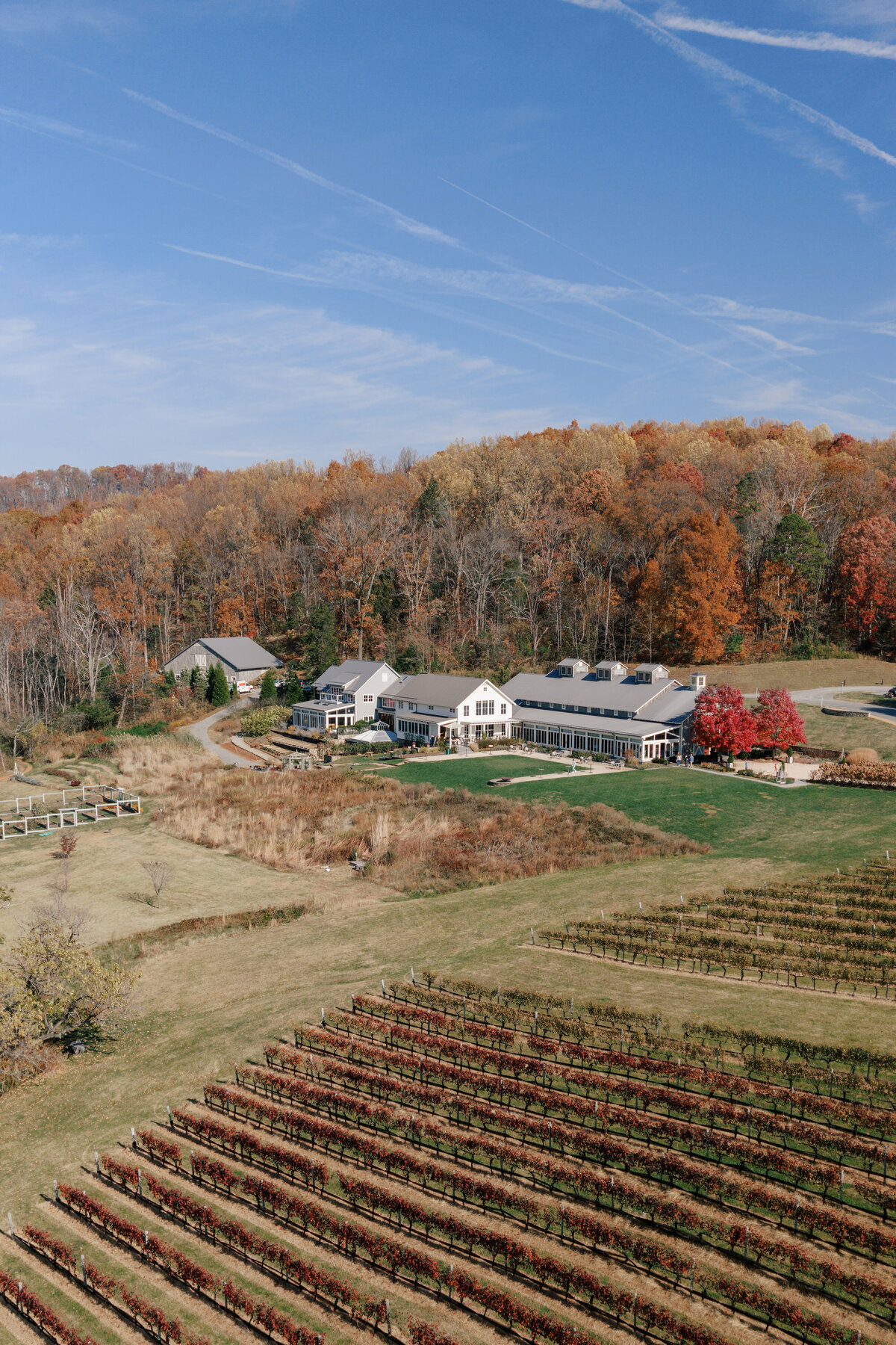 Pippin Hill Wedding Photos Virginia Photographer 