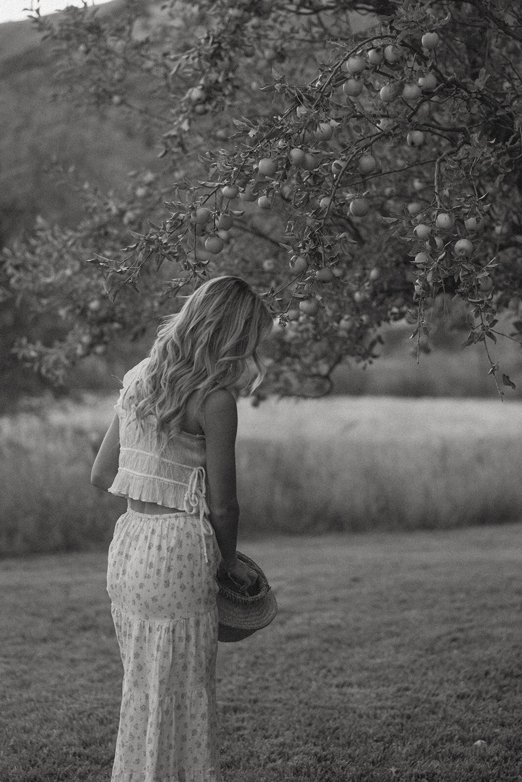 tanya-davids-photo-film-documentary-idaho-utah-oregon-washington-colorado-wedding-elopement-portrait-photographer-intention-session-apple-orchard-69