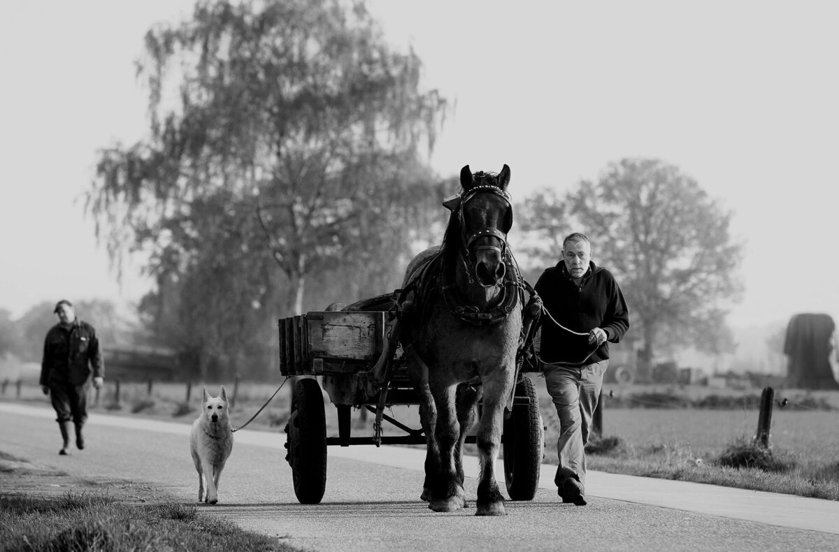 Bart Van der Moeren - De Stille Kempen - 035