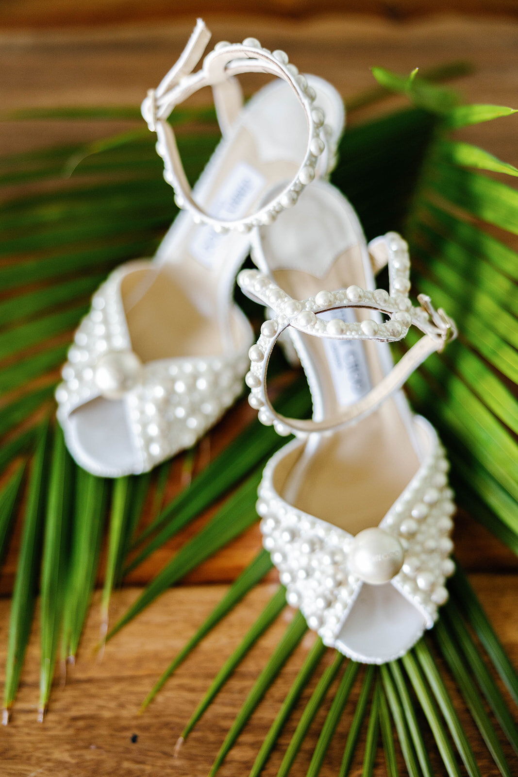 Miami-Wedding-Photographer-Claudia-Amalia-Antonia-James-1
