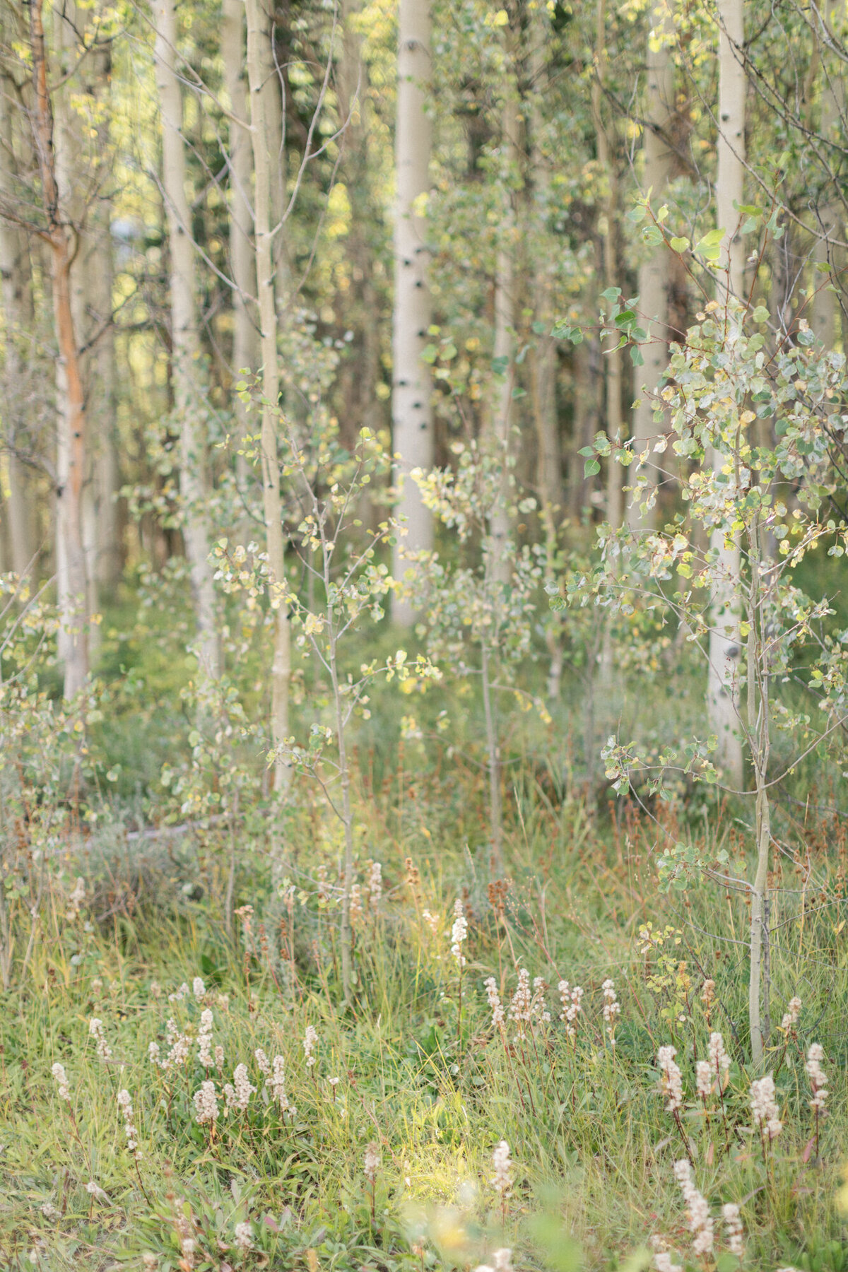 Pine_Creek_Cook_House_Luxury_Aspen_Wedding_by_Diana_Coulter-77