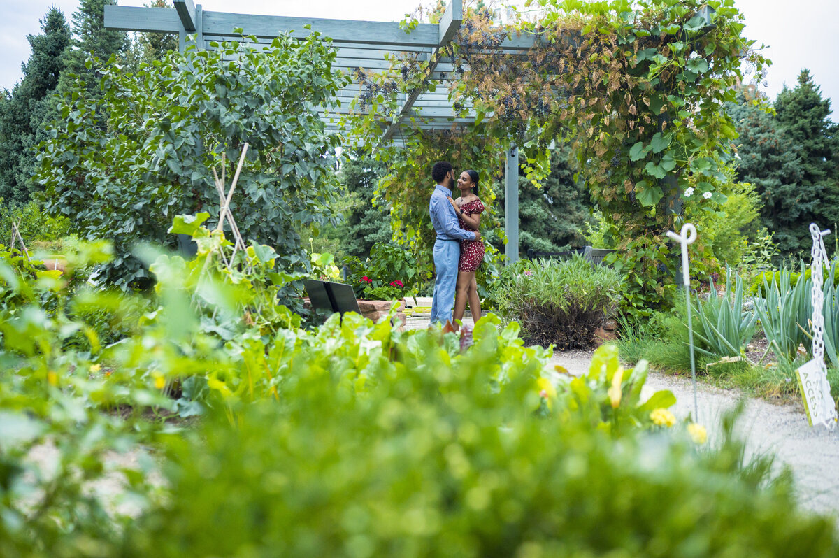 Surprise Proposal at Denver Botanical Gardens in red dress and dress clothes