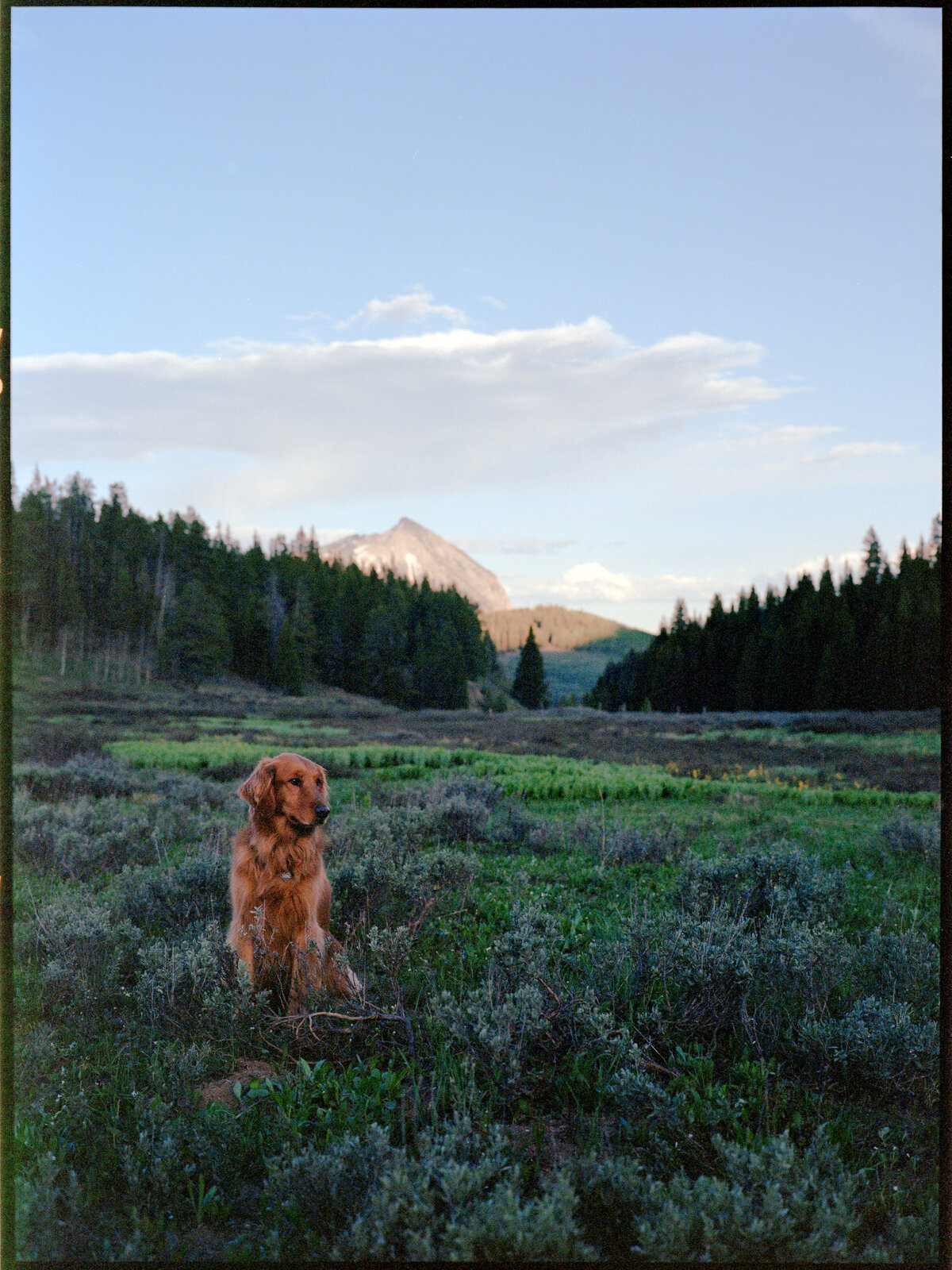 CB, Birthday Campground (6x8)-6