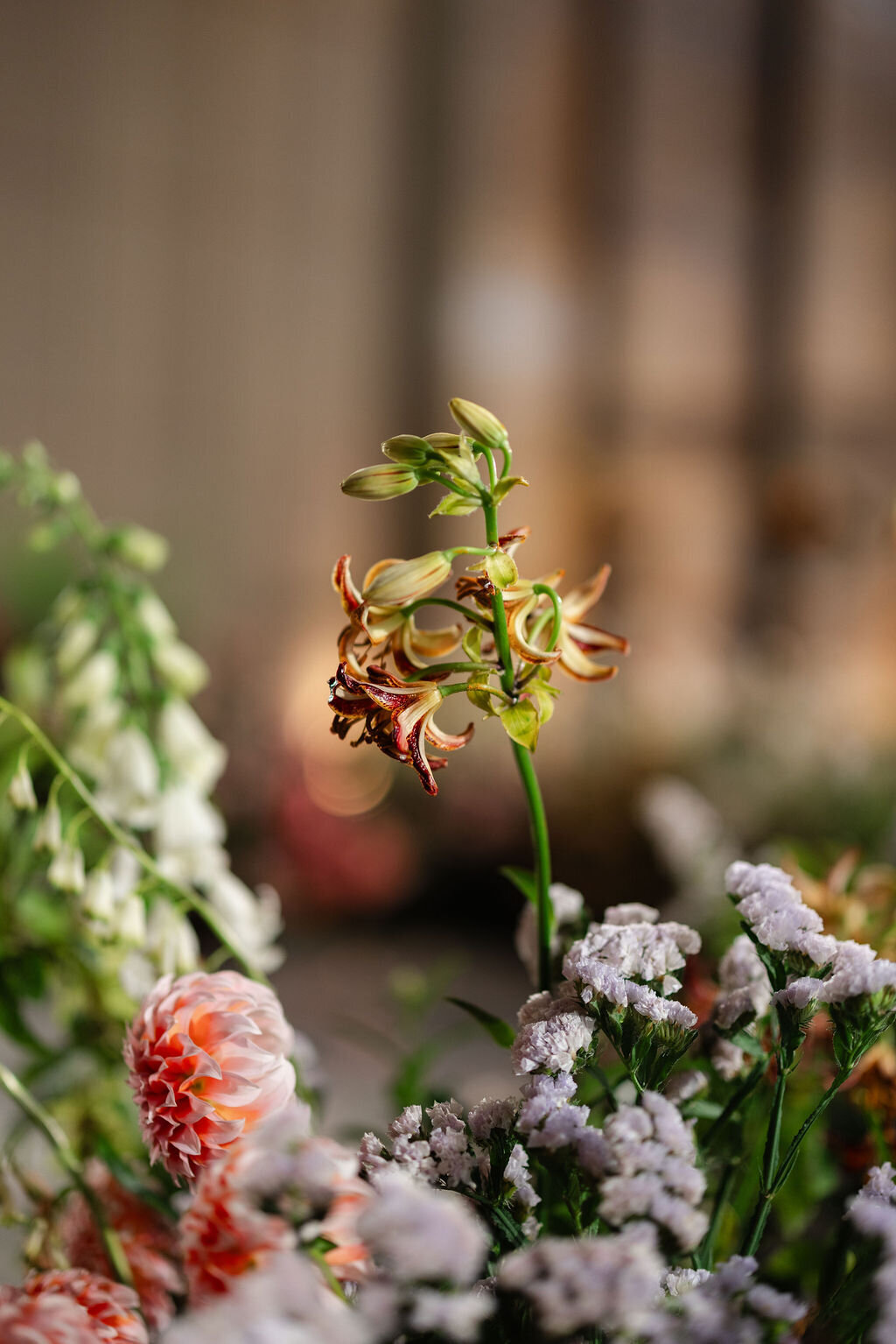 BonnieGillisPhotography-Lee-206