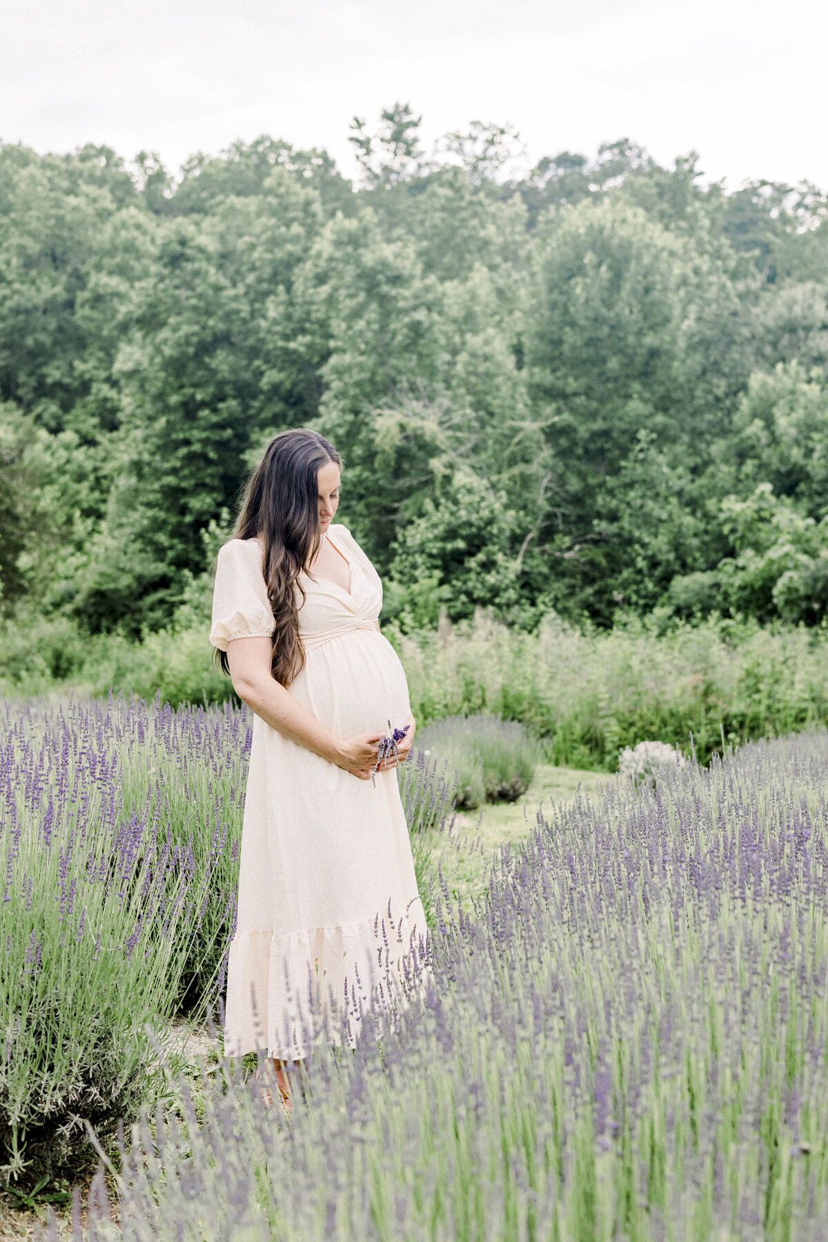 Love Family Lavender Field-57