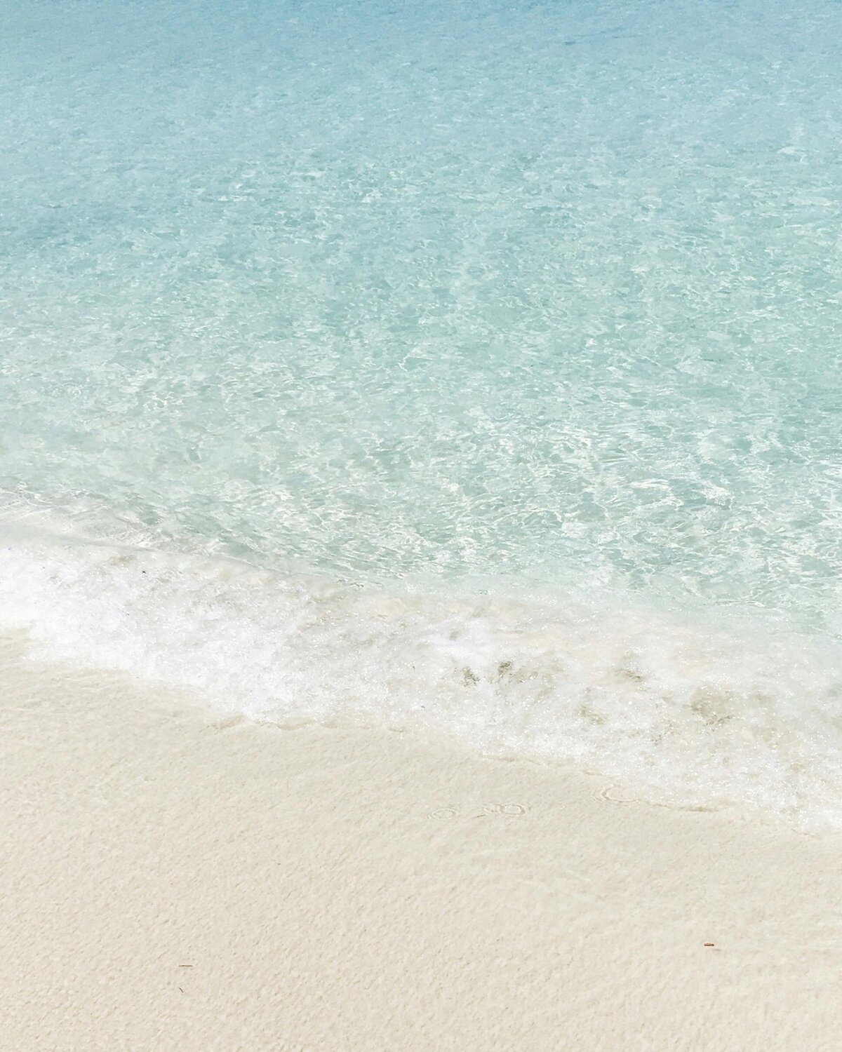 Travel Agent Collective - Image (50)