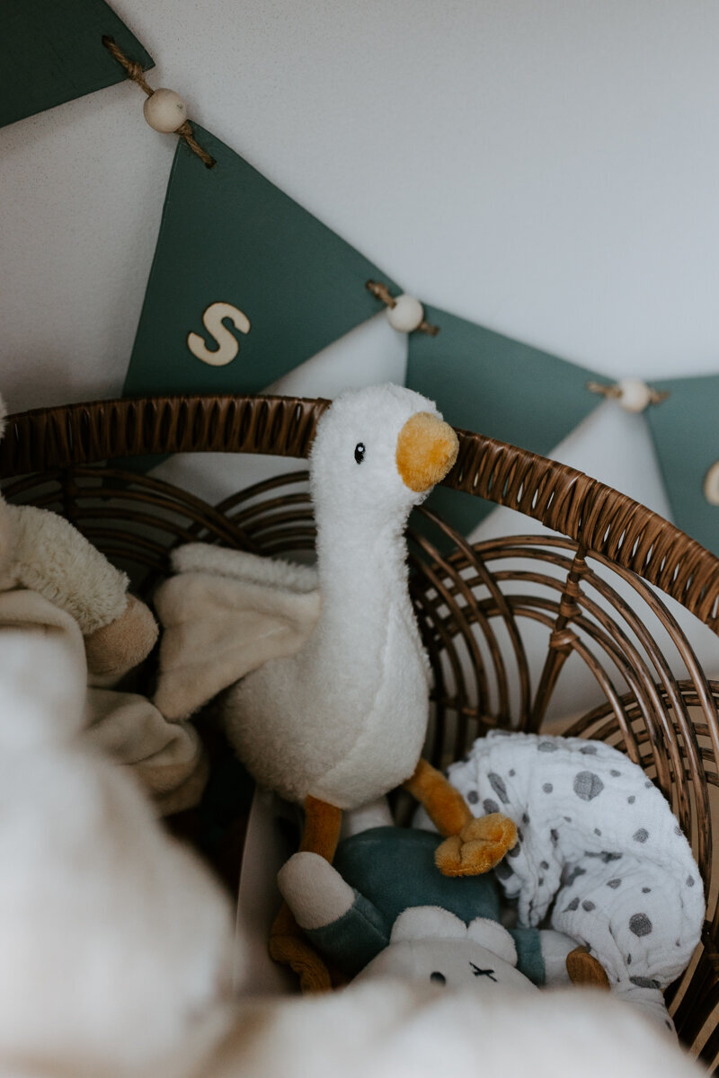Alblasfotografie_Baby_Scott_Aalsmeer-85