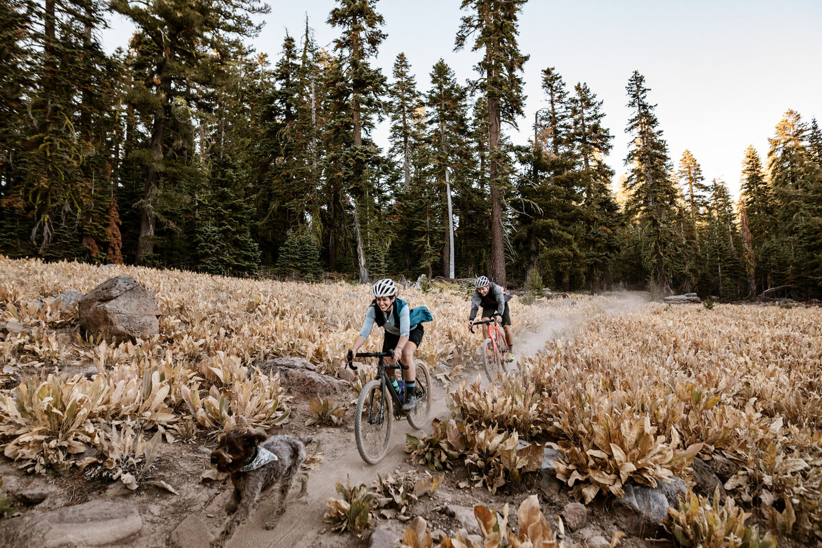 lake-tahoe-brand-photographerSenduro-122