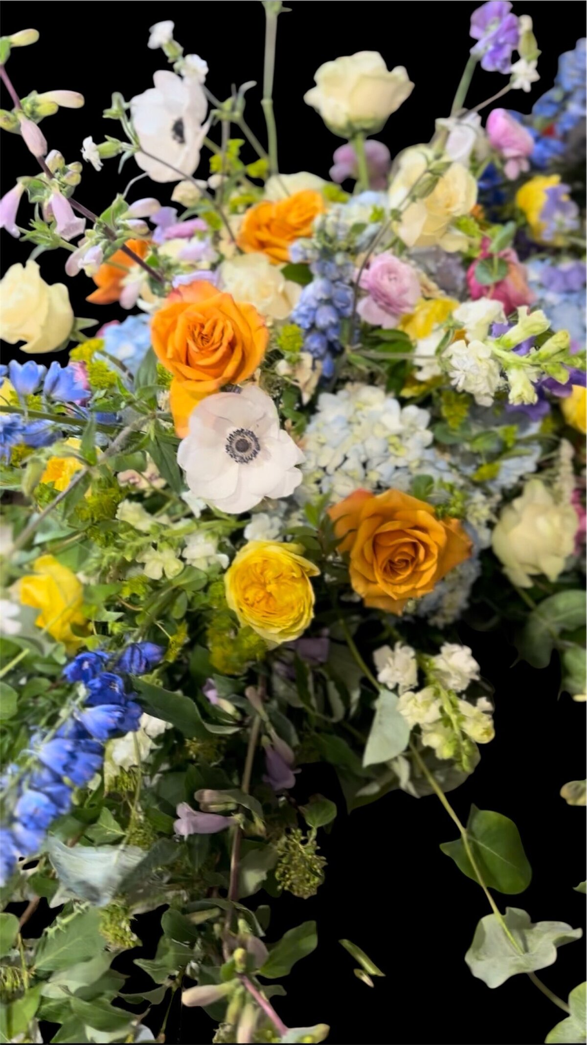 Photoroom_20250826_203411