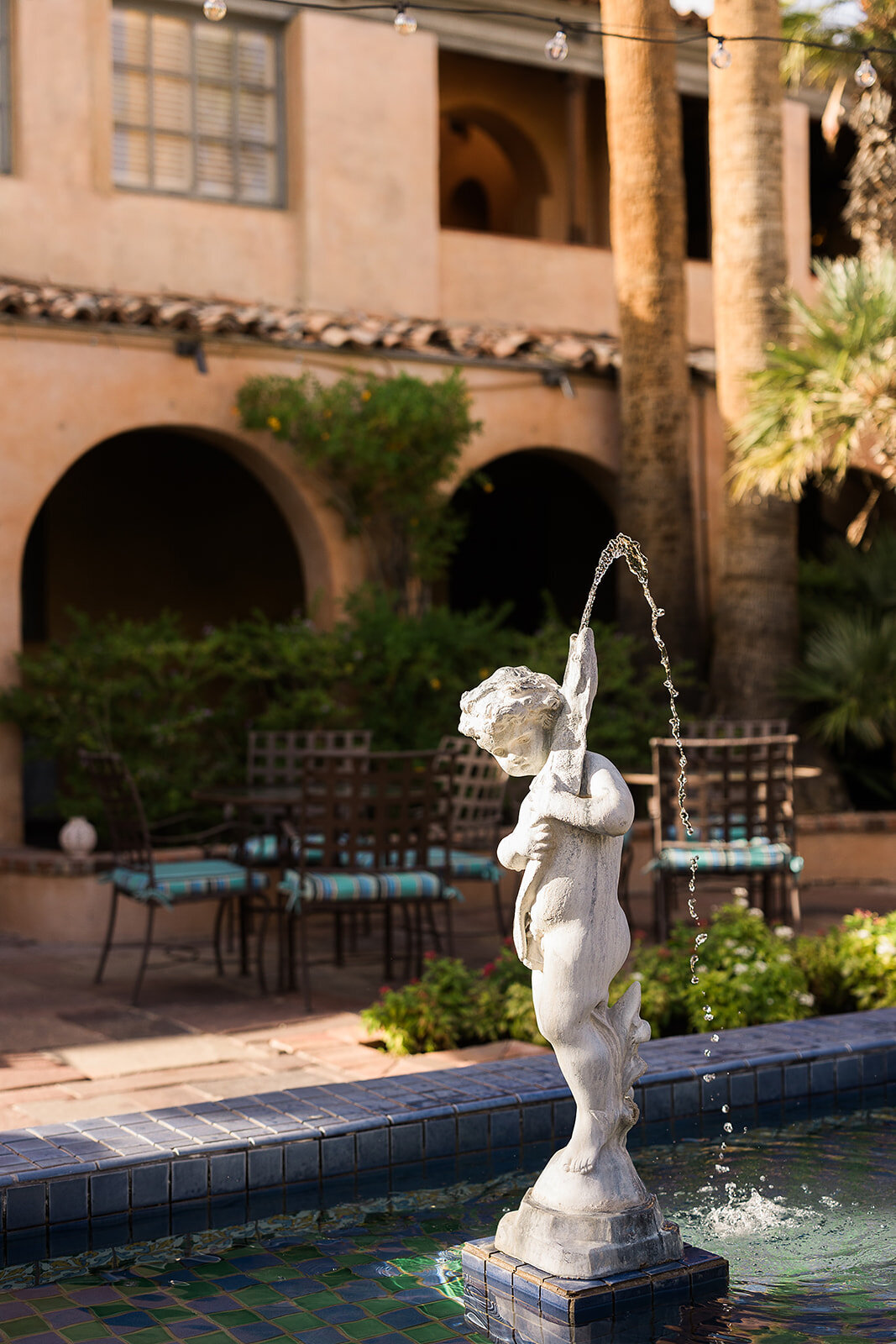 Royal Palms Wedding - Tara Nichole Photo - 2023 - Susanna and Kash-170