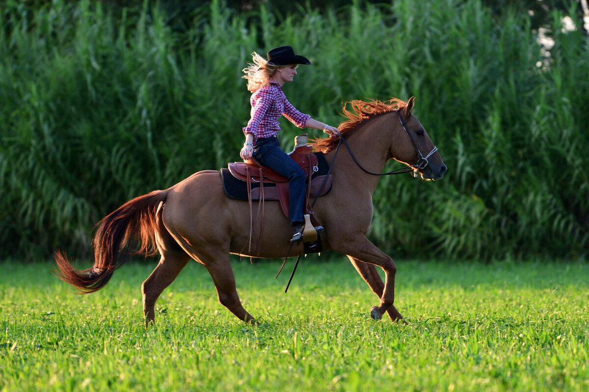Westernreiten Reitfoto