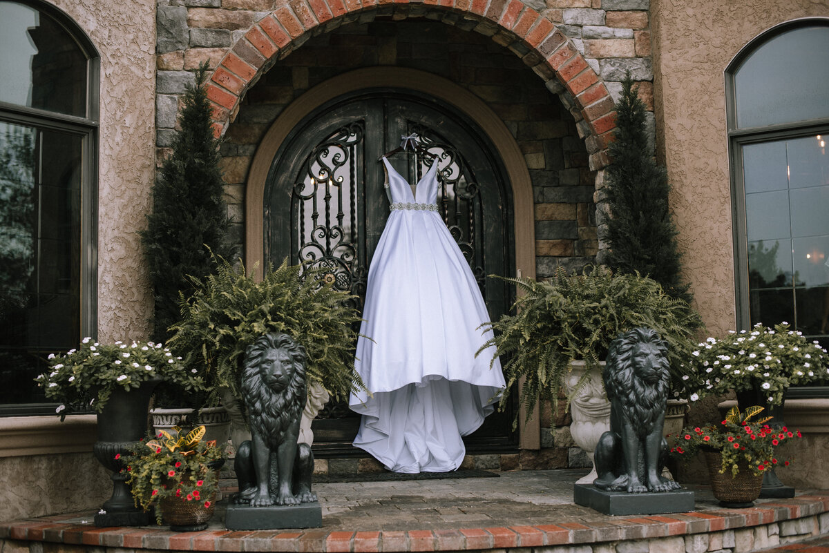 Wedding Dress Champagne Manor Charlotte Fort Mill Photographer
