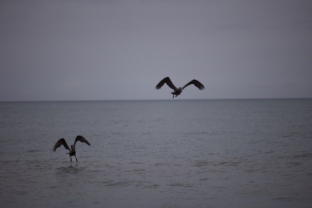 9672A639-FB02-47D0-80AB-4D069874C32F_1_105_c