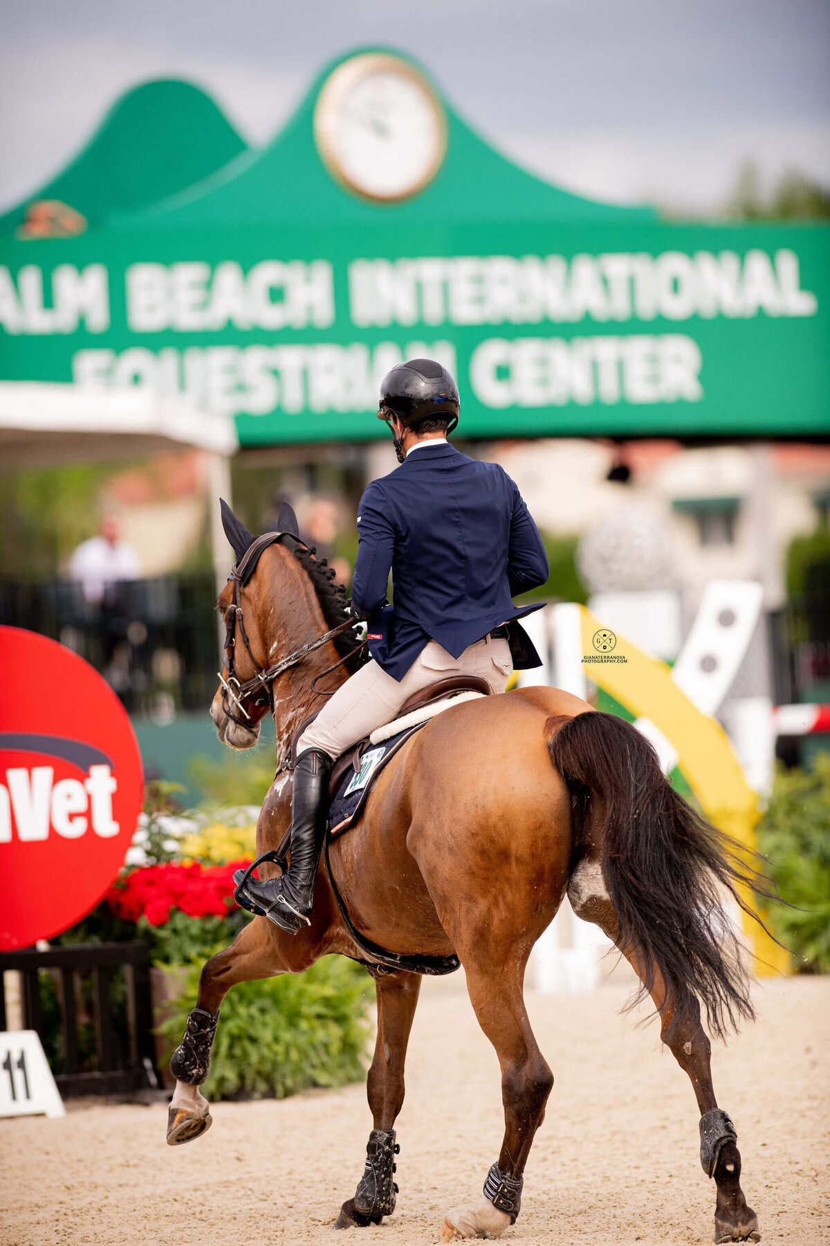 MICHIGAN SHOWJUMPING TEAM, SHOWJUMPING HORSES_US EQUESTRIAN TEAM (4)