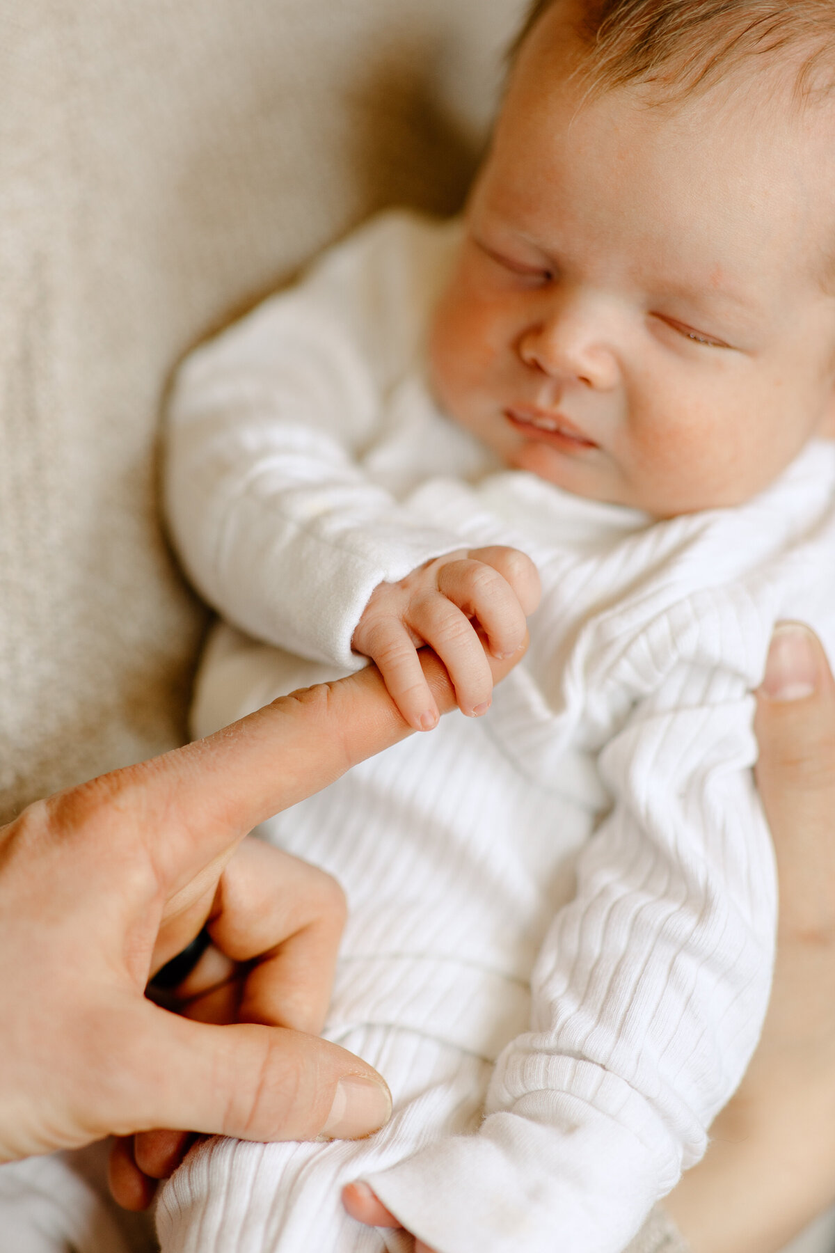 Colorado Springs Newborn Photographer-4
