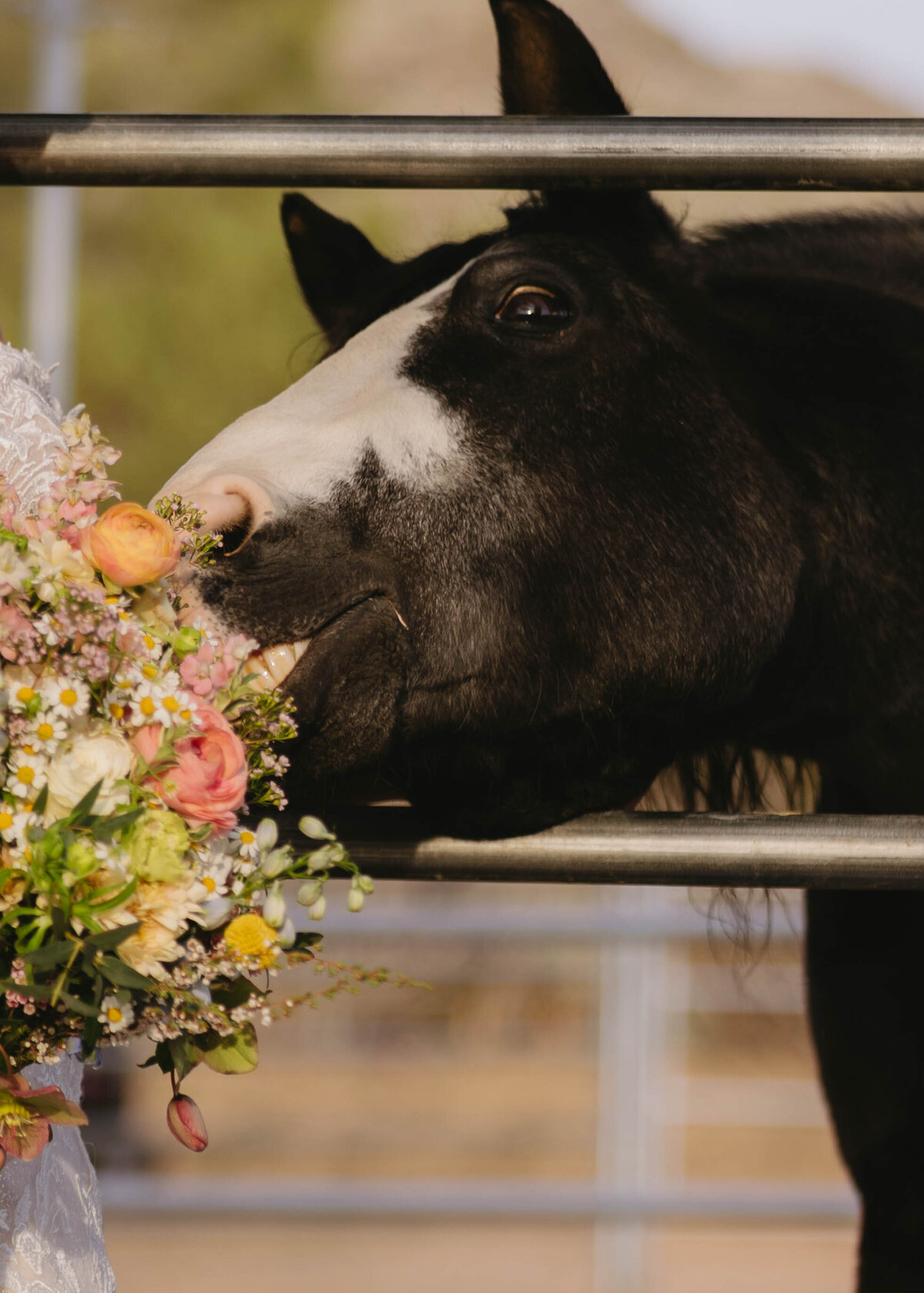 Acton_Wedding_photographer6885