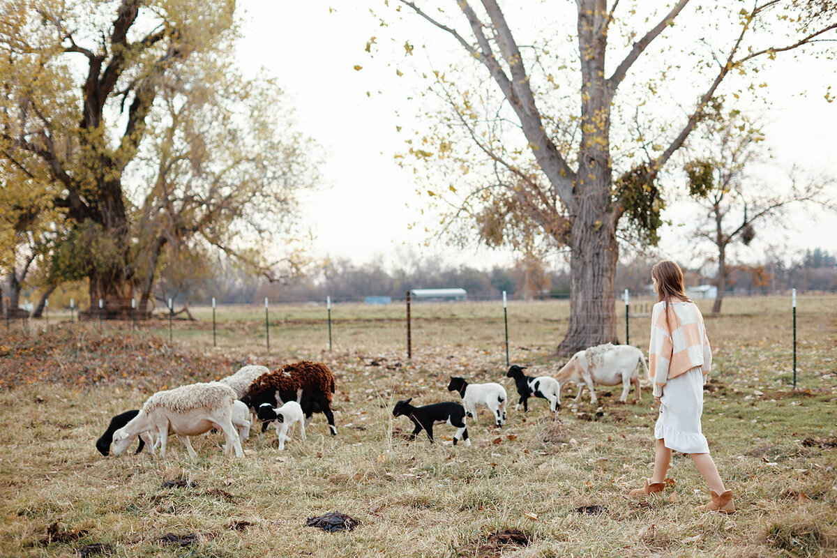 Ciufo_family_losmolinos_december2024_danipadgettphoto150_websize