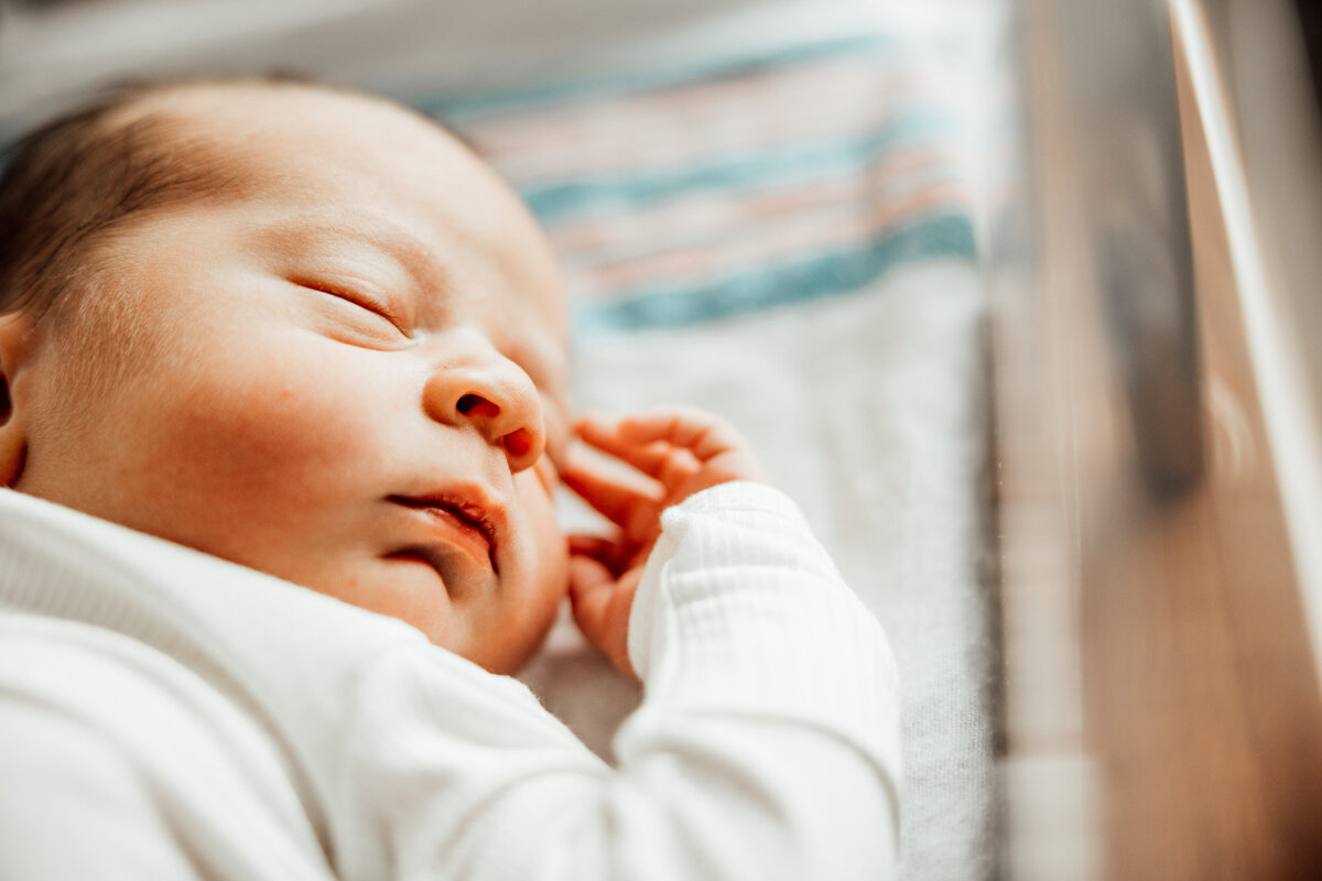 fresh 48 baby photography huntsville
