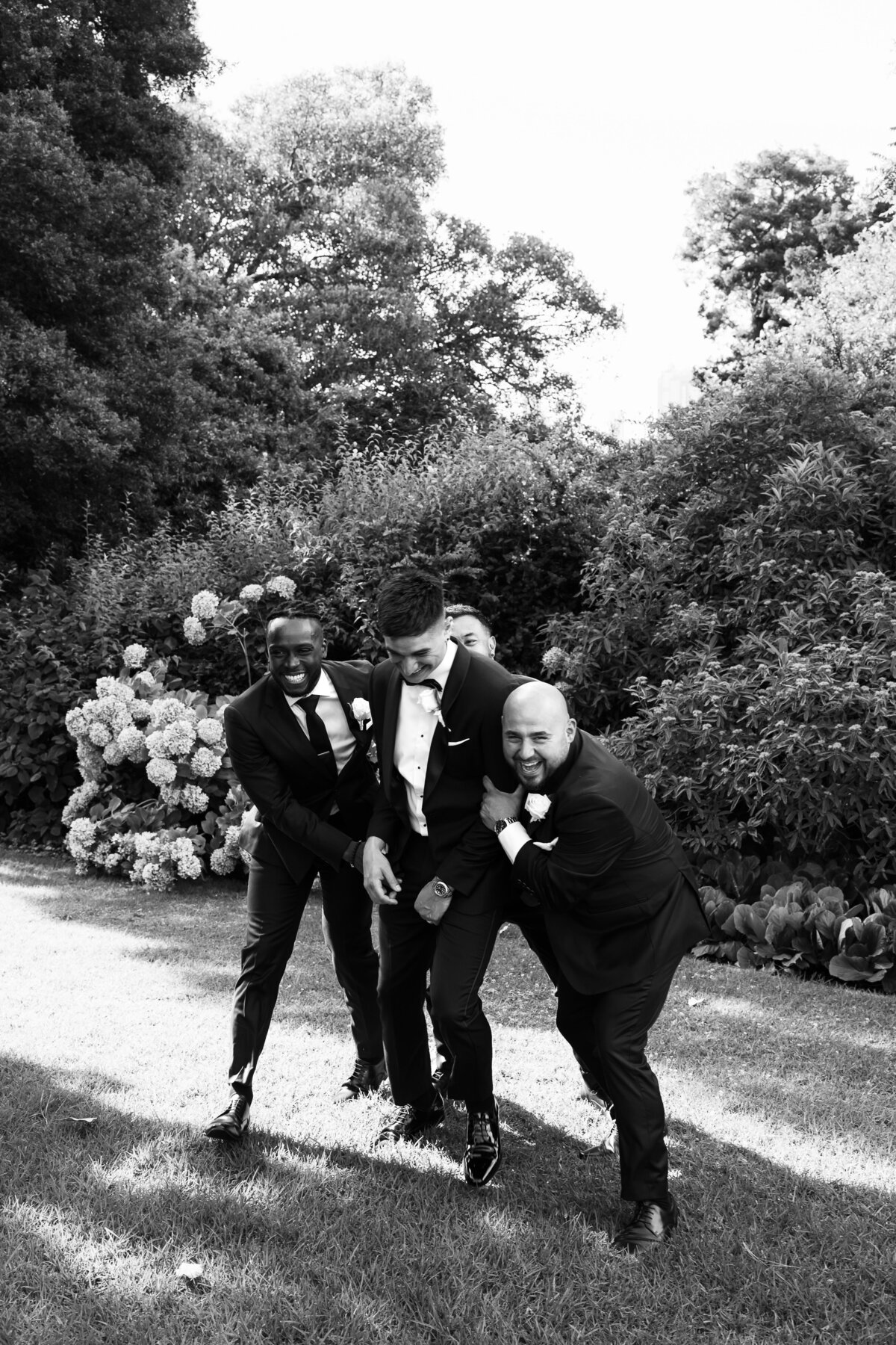 Courtney Laura Photography, Royal Botanical Gardens, The Terrace, Yarra Valley Wedding Photographer, Zoe and Sergio-233