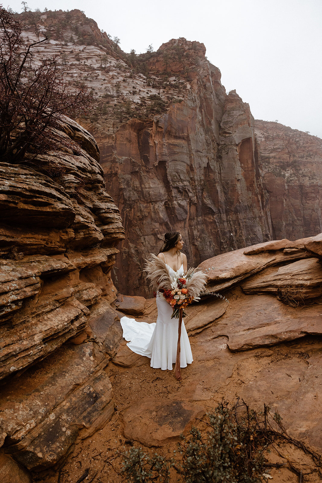 ZionSnowCanyon-dallinhassard-1405