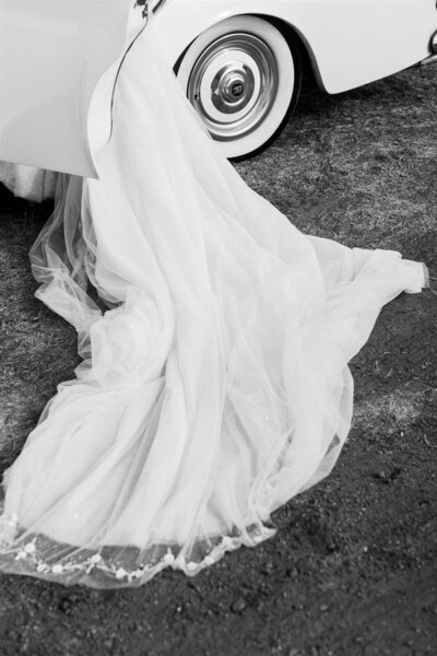rachellowell_wedding0599