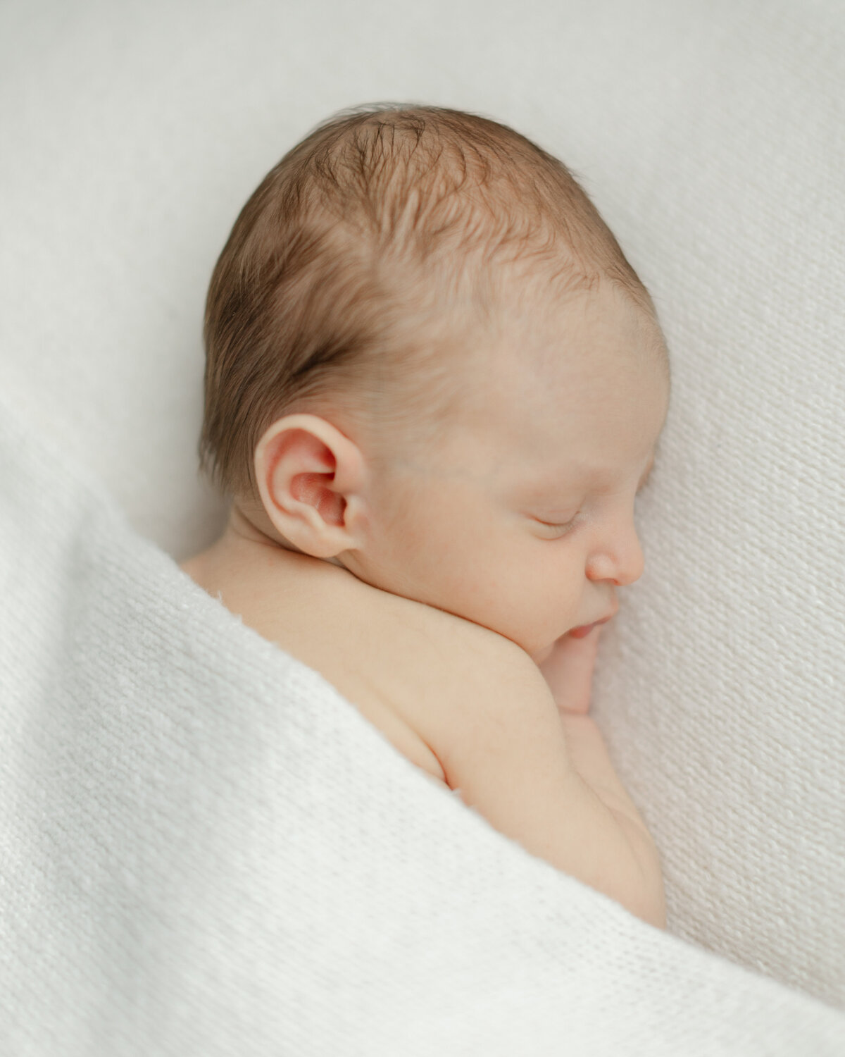 In-home newborn portrait session in Philadelphia - 9
