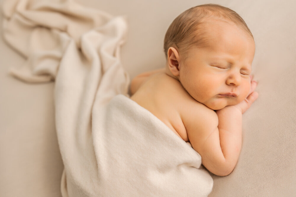 posed newborn