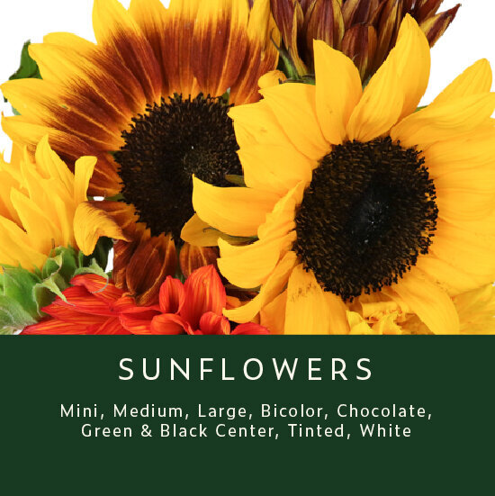 Sunflowers