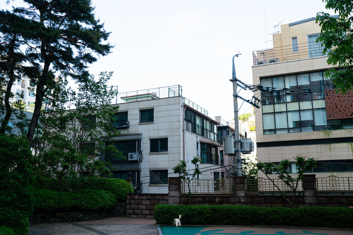 world's-best-familye-photographer-kirtsen-lewis-seoul-south-korea008