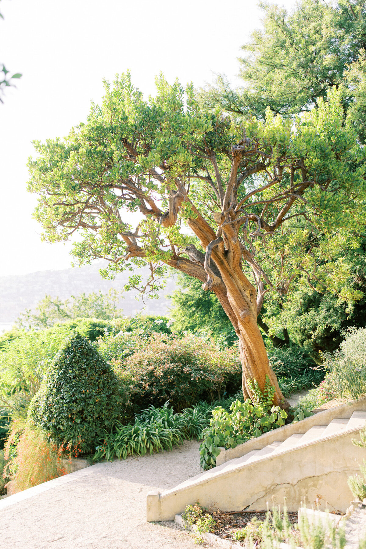 mailys-fortune-photography-wedding-photographer-french-riviera-villa-ephrussi-rothschild-65